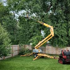 Best Emergency Tree Removal  in Sixteen Mile Stand, OH